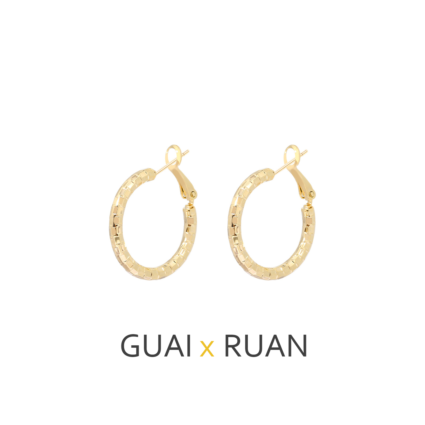 G&R Circle Earrings for Women, Light Luxury Design925Silver C Hoop Earrings