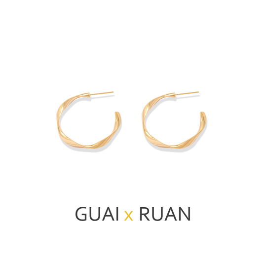 G&R Irregular Metal Stud Earrings925Silver Earrings with a Sense of Luxury and Sophistication ins Plain Hoop Earrings for Women