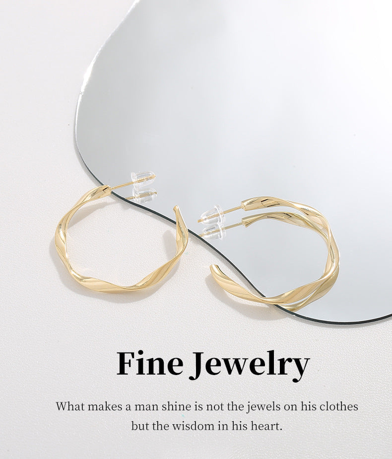 G&R Irregular Metal Stud Earrings925Silver Earrings with a Sense of Luxury and Sophistication ins Plain Hoop Earrings for Women